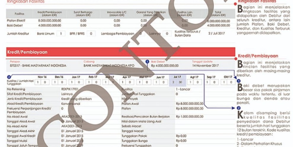 Cara Cek BI Checking via WhatsApp, Apakah Bisa? Ini Cara Praktisnya!