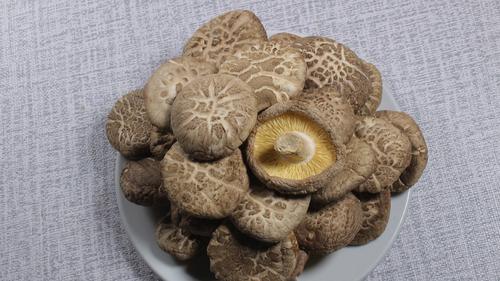 Cara Tepat Mengolah Jamur Shiitake Kering Agar Rasa Umami Lebih Maksimal