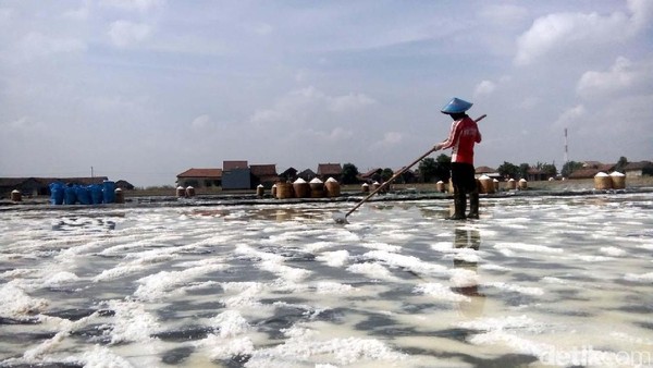Pemerintah Bangun Kawasan Industri Garam Nasional di Rote Ndao, Target Produksi 2 Juta Ton per Tahun