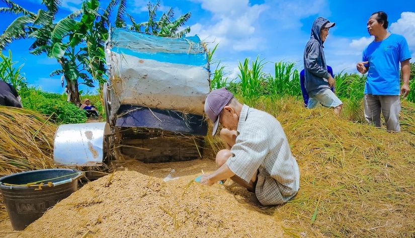 Momen Bersejarah: Zulhas Borong Gabah Petani Rp 40 Juta di Ngawi dalam Acara DemiIndonesia