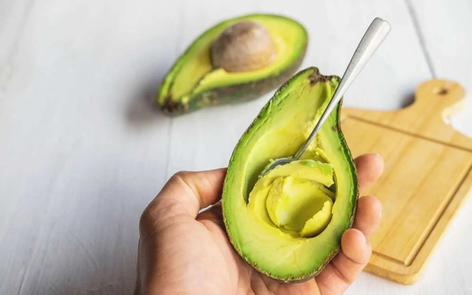 Kebiasaan Konsumsi Alpukat Harian Bantu Dukung Kesehatan Tubuh Secara Alami