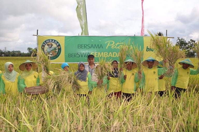 Kendala Modal: Tantangan Utama Bagi Nelayan dan Petani Indonesia