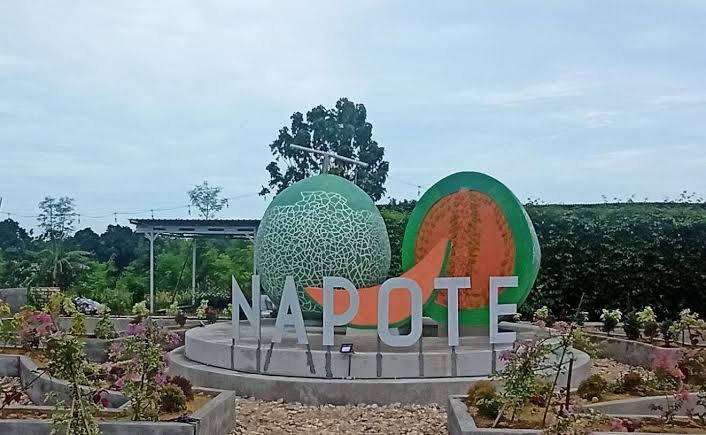 Kampung Melon Napote Sampang, Wisata Petik Buah yang Edukatif dan Ramah Alam
