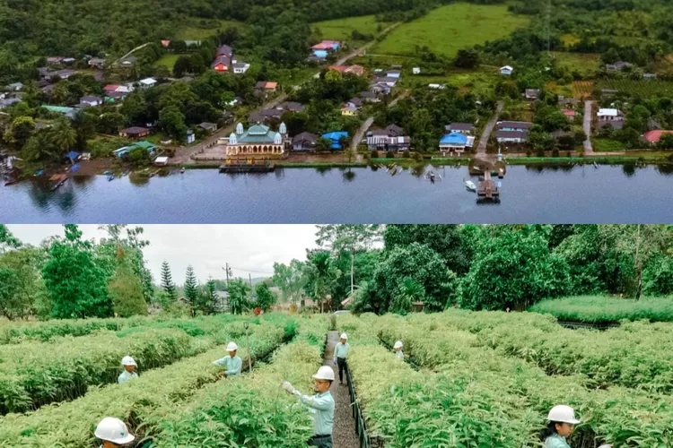 MIND ID Raih Subroto Award, Bukti Pemberdayaan Masyarakat Berkelanjutan