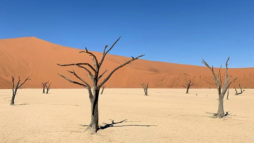 Jelajah Namibia Tanpa Visa, Surga Wisata Afrika dengan Gurun, Safari, dan Pantai Unik