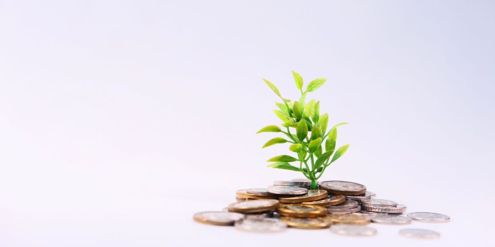 Bunga Pinjaman Adalah: Jenis, Cara Menghitung, dan Tips Memilihnya