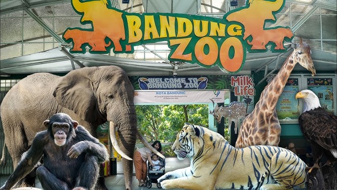 Bandung Zoo, Pilihan Wisata Anak dan Keluarga