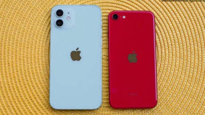 Harga Terbaru iPhone 11: Lebih Murah dari iPhone SE 3 di Mei 2025, Mana Pilihan yang Lebih Menguntungkan?