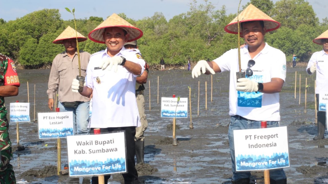 Wabup Ansori Dukung Program Mangrove Freeport Indonesia