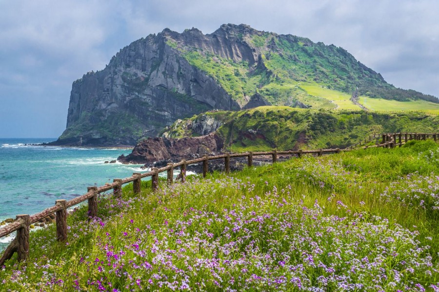 Wisata Korea Selatan Populer