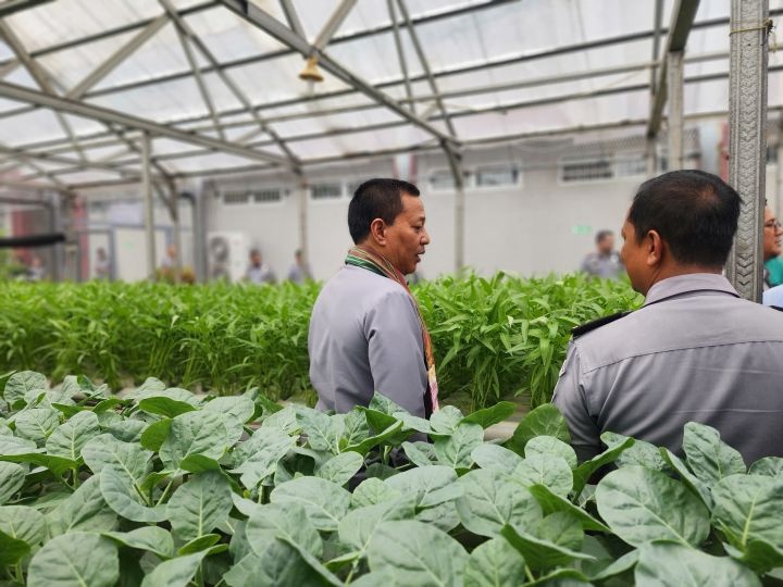 Inovasi Kementerian Imipas Tingkatkan Produktivitas Lahan Lapas
