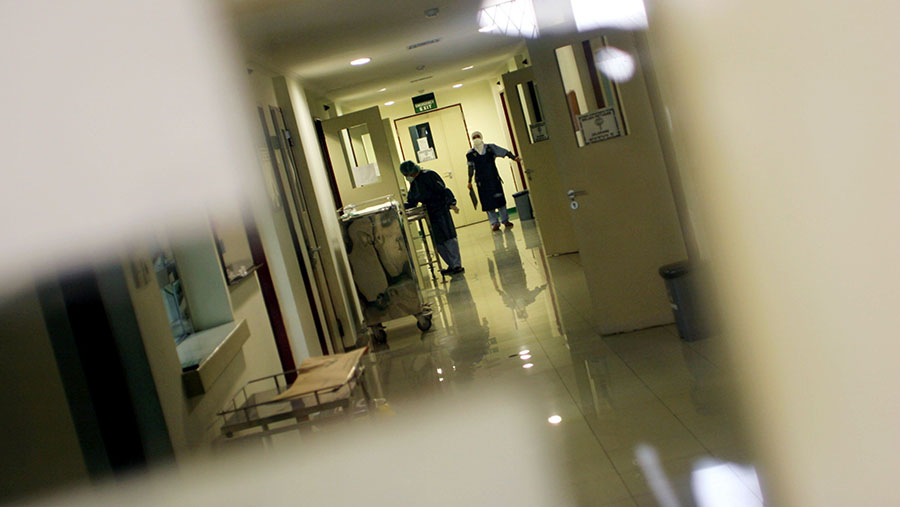 BKSL Siapkan BIOTOWN, Wujud Kota Kesehatan Terpadu Pertama Indonesia