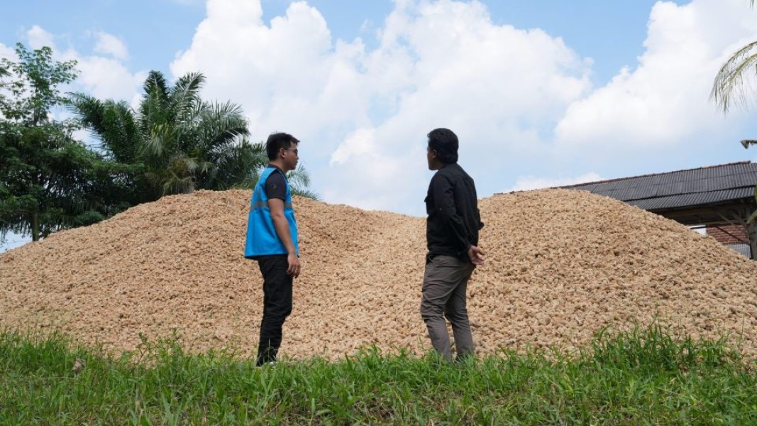 PLN EPI Perkuat Cofiring PLTU Lewat Kolaborasi Biomassa Berkelanjutan Demi Transisi Energi Nasional