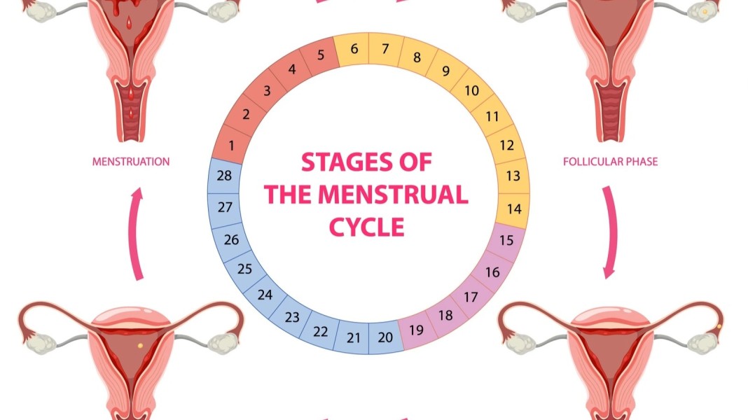 Kenali Siklus dan Durasi Menstruasi Normal bagi Perempuan