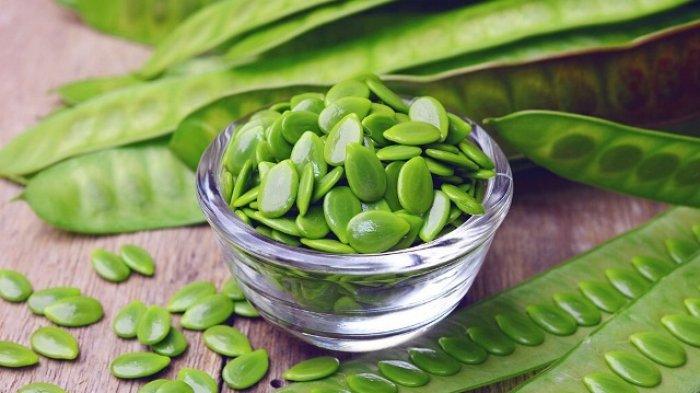 Petai Cina Kaya Nutrisi Ternyata Menyimpan 9 Manfaat Luar Biasa
