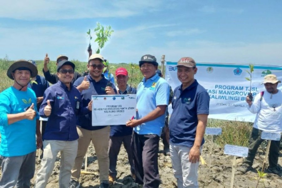 Freeport Indonesia Rehabilitasi 500 Hektare Mangrove di Kalimantan Selatan, Targetkan 2.000 Hektare