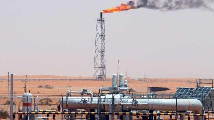 Pemangkasan Produksi OPEC Diproyeksikan Menjaga Stabilitas Harga Minyak hingga 2025