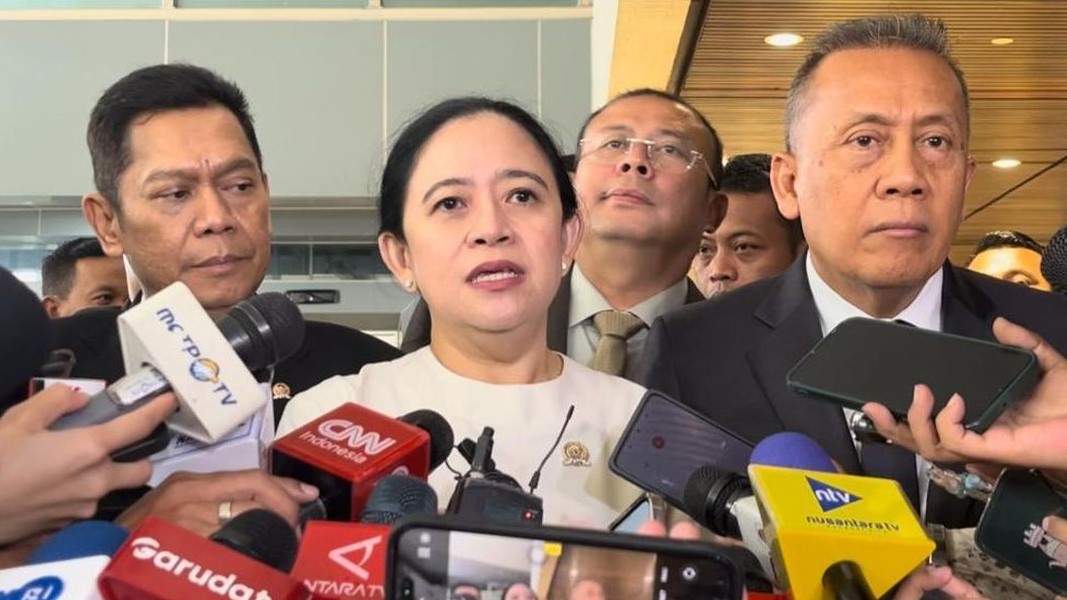 Puan Ingatkan Pemerintah Soal Pentingnya Penanganan Masyarakat di Rumah Sakit