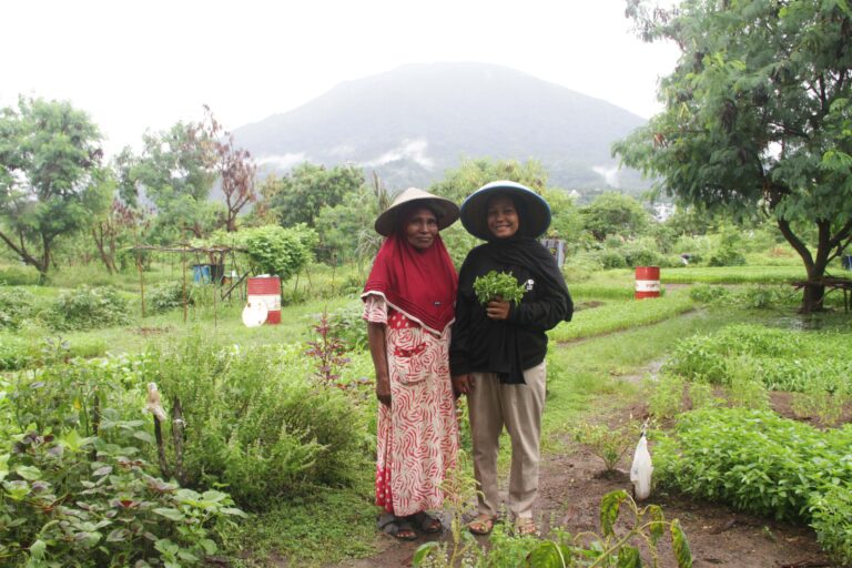 Petani Ternate Pilih Bertani Organik Berkelanjutan