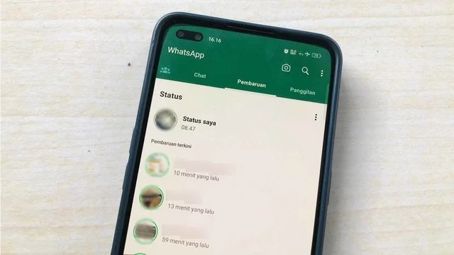 Kelola Status WhatsApp dengan Mudah