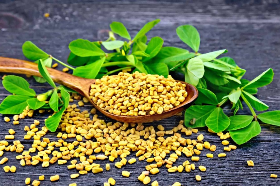 10 Penekan Nafsu Makan Alami Efektif untuk Diet Sehat