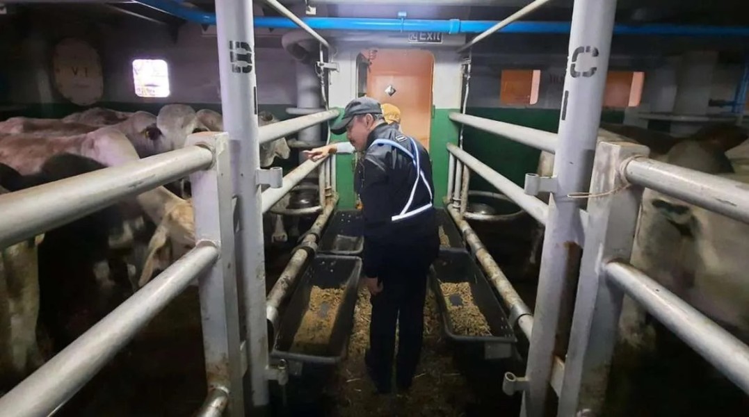 Estika Tata Raih Kredit Rp1,6 Triliun, Perkuat Ekspansi Bisnis