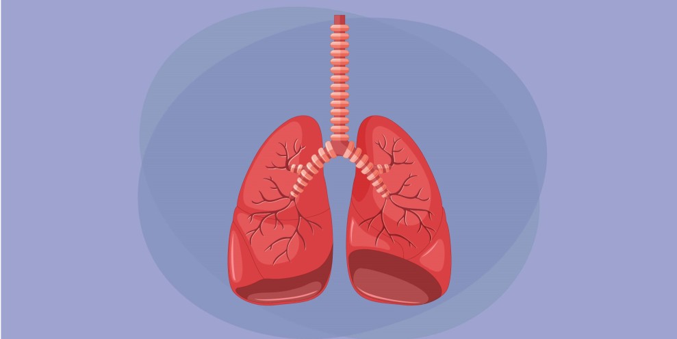 Kanker Paru Bisa Menyerang Non Perokok, Kenali Penyebab Utamanya