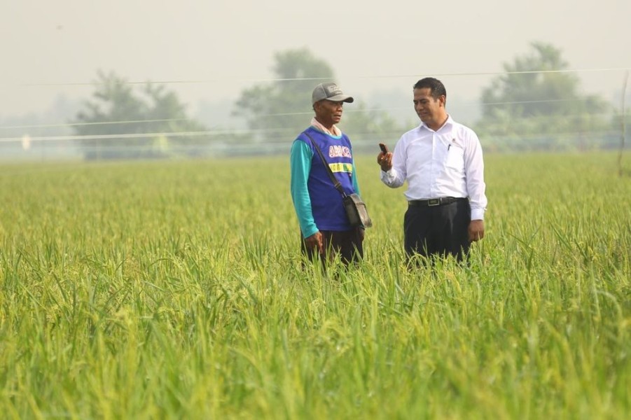 Mentan Dorong Percepatan Pembukaan Sawah Baru Demi Perkuat Ketahanan Pangan Nasional