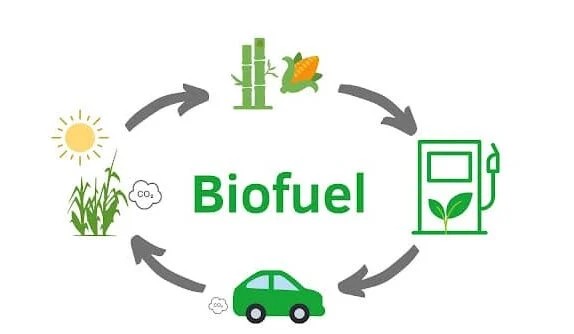 Tantangan Besar Menuju Mandatori Biofuel Indonesia pada 2026 Tantangan Besar Menuju Mandatori Biofuel Indonesia pada 2026