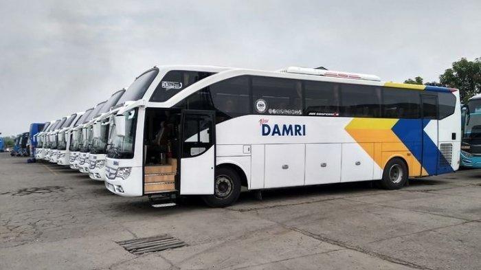 DAMRI Mulai Operasikan Bus Langsung Jogja–YIA, Perjalanan Bandara Kini Lebih Cepat dan Praktis