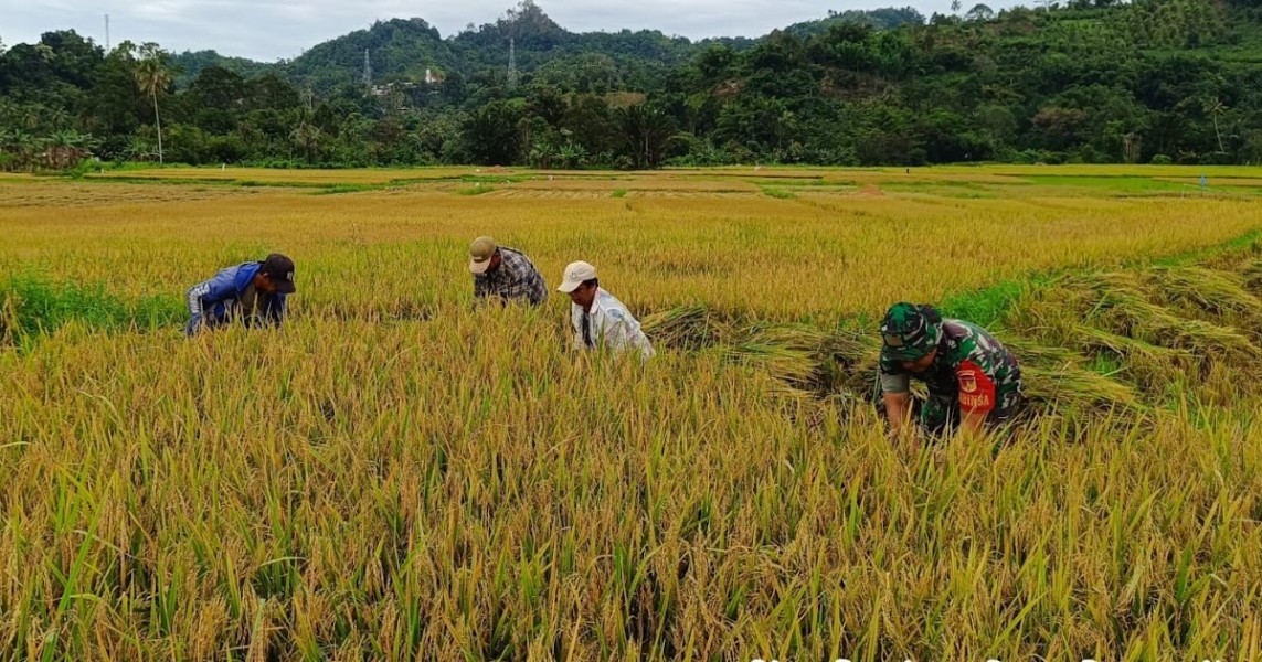 Dampingi Petani di Desa Mekar Jaya untuk Perkuat Ketahanan Pangan Kabupaten Tangerang