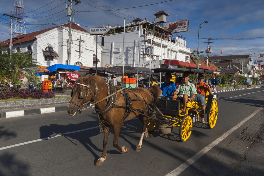 Transportasi Andong Tetap Eksis, Warisan Budaya Malioboro Terjaga