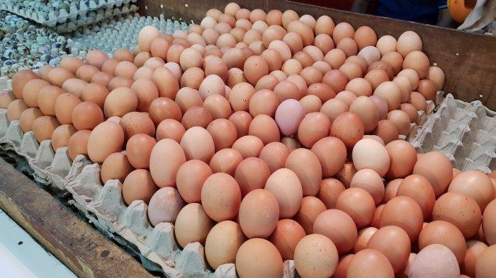Harga Telur Ayam Ras Awal November 2025 Masih Stabil di Seluruh Indonesia