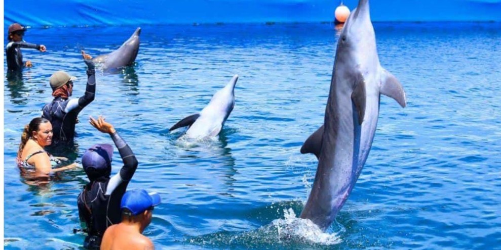 10 Kolam Renang Denpasar yang Menarik untuk Dikunjungi