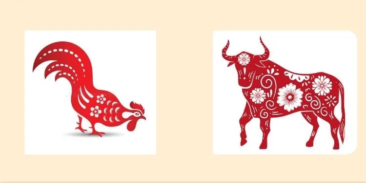 Shio Kerbau dan Ayam Nikmati Rezeki Melimpah