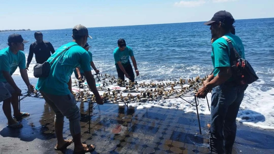 BUMN Dukung Konservasi Laut Banyuwangi