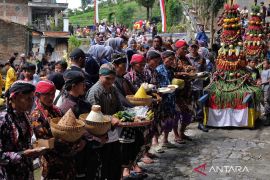 Tanah khas desa jadi ladang rezeki bagi petani Kampar