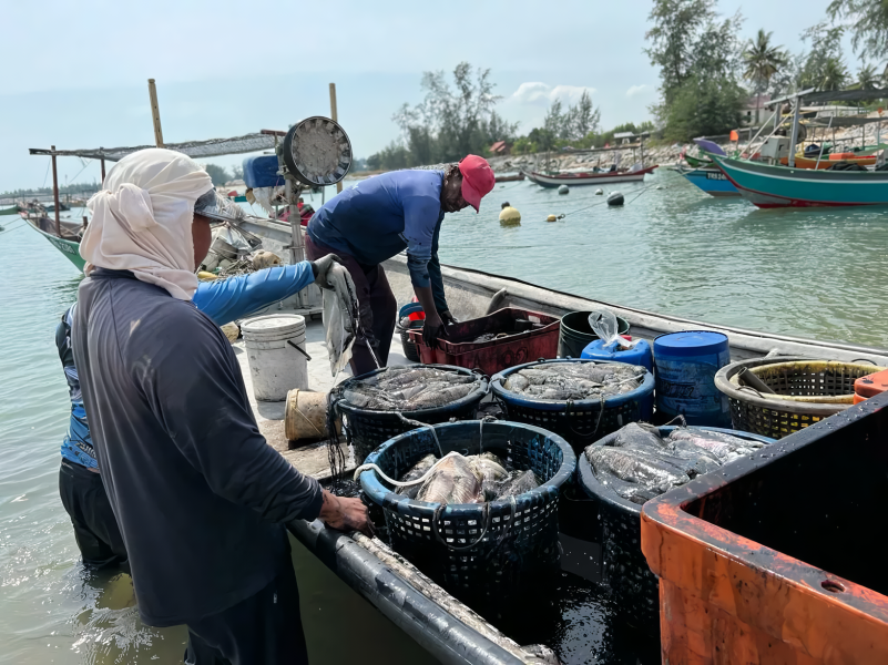 MIND ID Dukung Kemandirian Nelayan