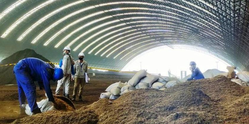 Pemanfaatan Biomassa Kelapa Sawit Dorong Energi, Industri, dan Lingkungan