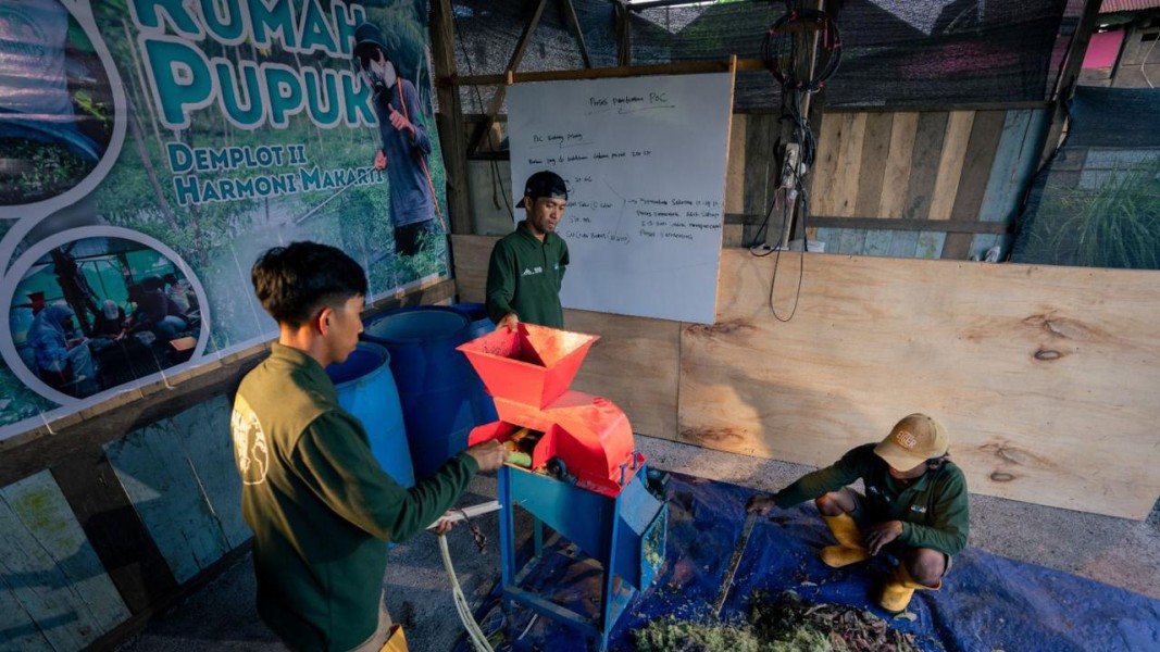 Petani Muda Desa Makarti Jaya Hemat Biaya Lewat Pertanian Semi Organik