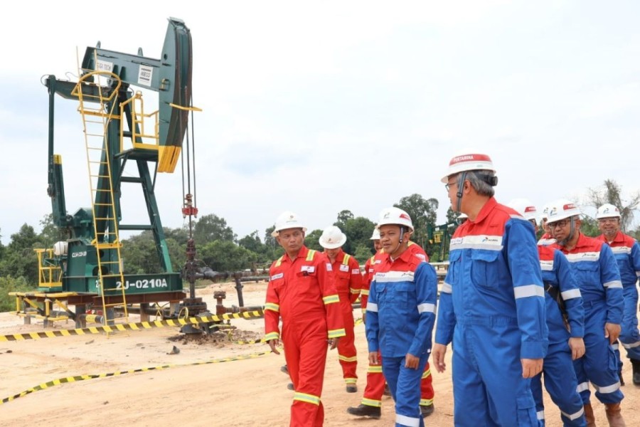 Pemerintah dan Pertamina Siapkan Aplikasi untuk Catat Pembelian Gas Elpiji 3 Kg di Subpangkalan