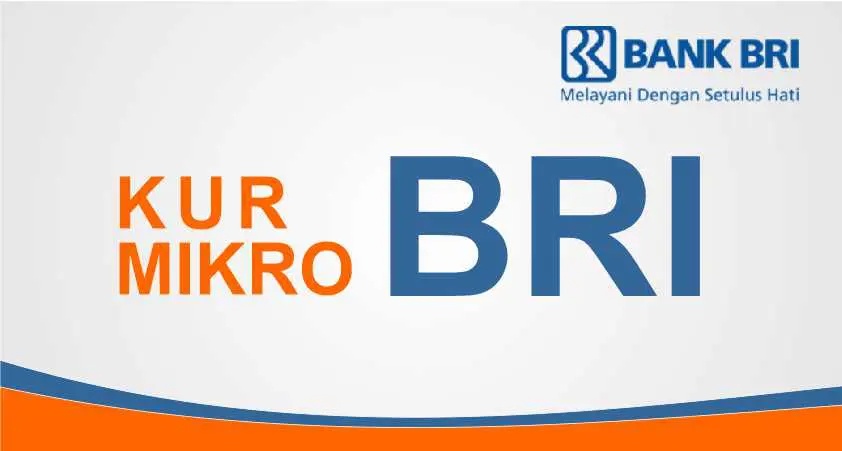 KUR BRI Dukung UMKM Naik Kelas