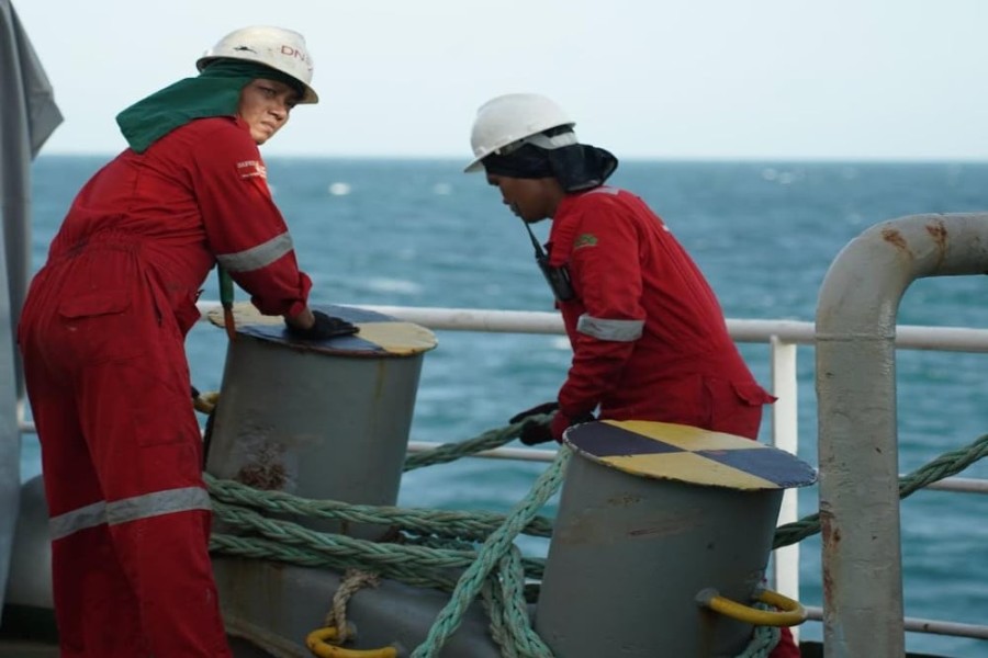 Pengembangan Palapa Ring Integrasi dan Satelit Multifungsi, Strategi Efisiensi Infrastruktur Digital