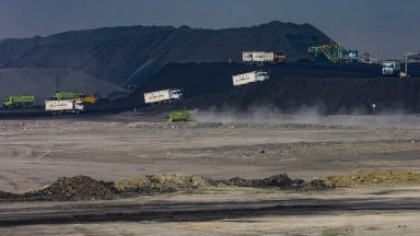 Penurunan Harga Komoditas: Emas, CPO, dan Batu Bara Mengalami Tren Lesu