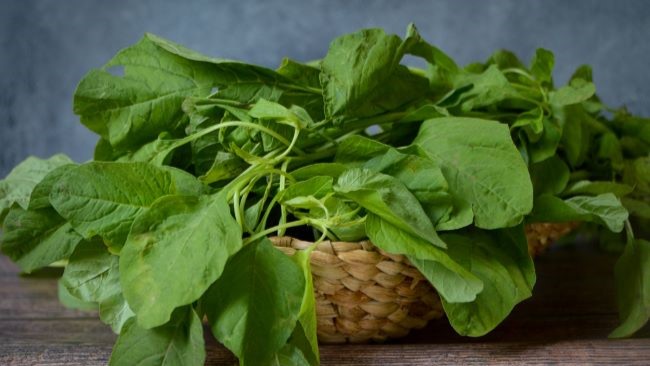3 Manfaat Bayam yang Jarang Diketahui untuk Kesehatan Tubuh