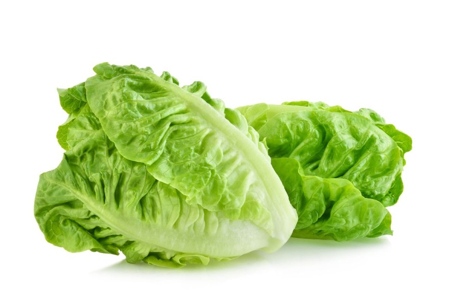 Manfaat Selada Air, Sayuran Sederhana Kaya Antioksidan untuk Tubuh Sehat