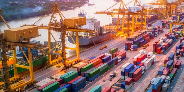 Infrastruktur Dasar Kawasan Transmigrasi Jadi Kunci Tingkatkan Nilai Ekspor dan Investasi