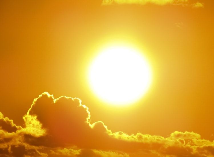 Inovasi Energi Surya Tingkatkan Nilai Ikan Papua dan Kesejahteraan Nelayan