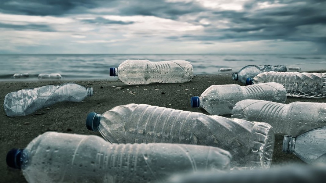 Dampak Ilmiah Polusi Plastik bagi Kesehatan Global