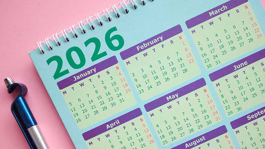 Skema Libur Awal Puasa 2026 Bagi Siswa Resmi Ditetapkan Pemerintah